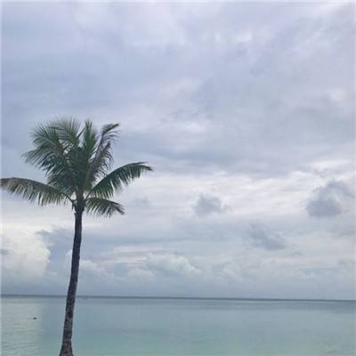 天博体育官网入口