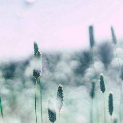 欧意app下载安装